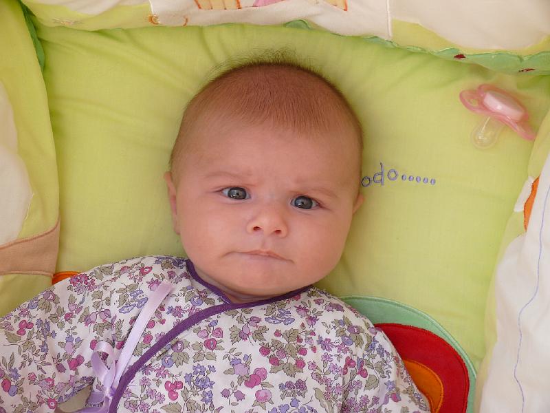 P1020538.JPG