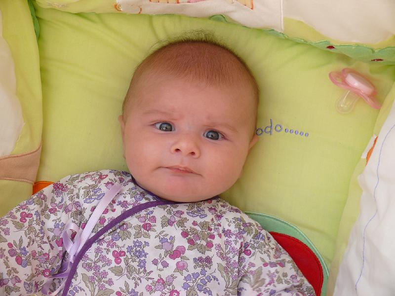 P1020539.JPG
