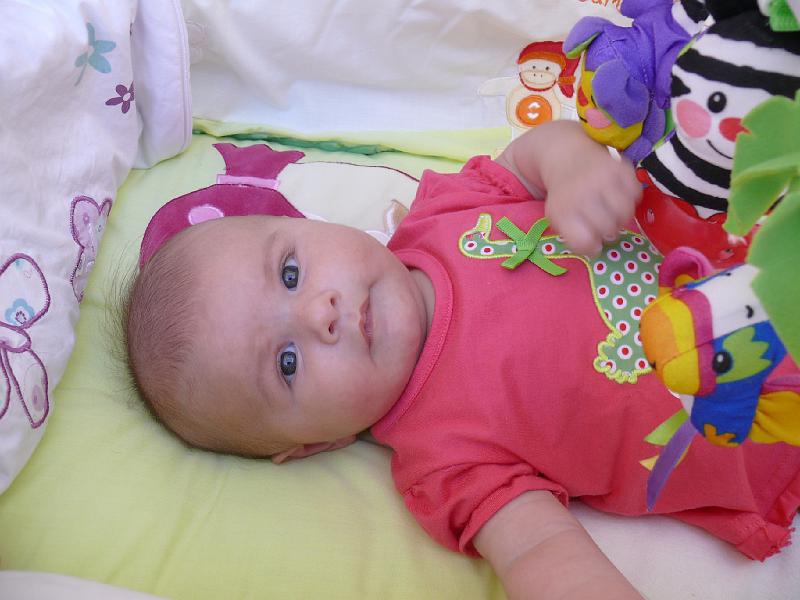 P1020550.JPG