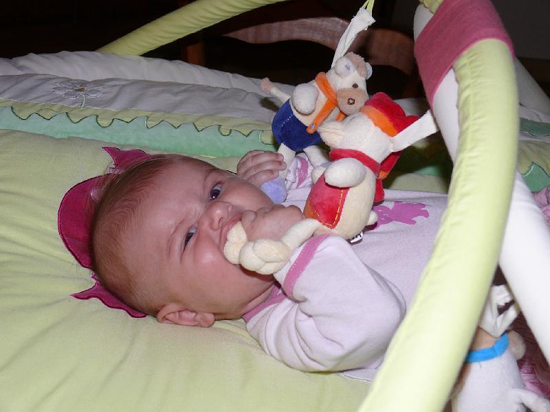 P1020556.JPG