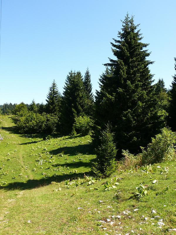 P1020563.JPG