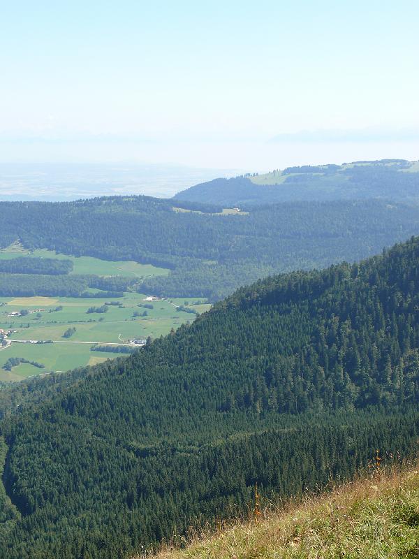 P1020570.JPG