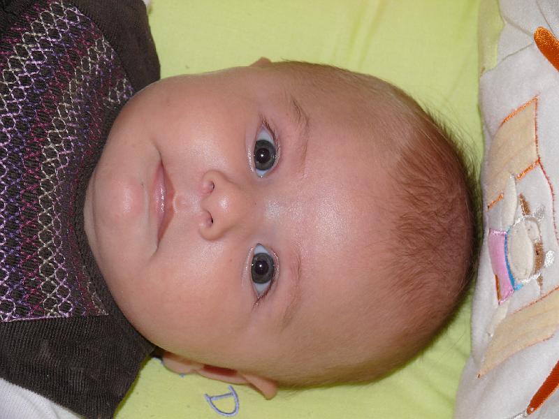P1020588.JPG
